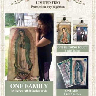 OUR LADY of GUADALUPE Limited Promotion