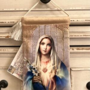 IMMACULATE HEART of MARY , Velvet Blessing Carrier, hd Image 8 by 5 inches , 2 beautiful sides.