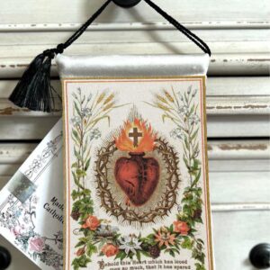 BEHOLD THIS HEART Velvet Blessing Carrier, Hd Image 8 by 5 inches , 2 beautiful sides.