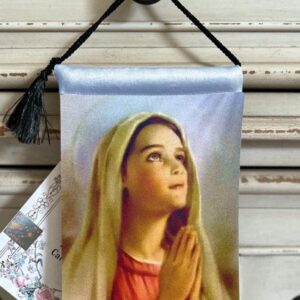 MOTHER MARY 6 years old .Velvet Blessing Carrier, HD Image 8 by 5 inches , 2 beautiful sides.
