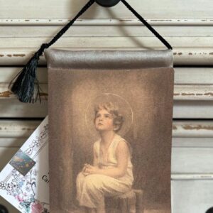 CHILD JESUS 5 years old. Velvet Blessing Carrier, HD Image 8 by 5 inches , 2 beautiful sides.