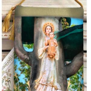 OUR LADY of LAVANG Vietnam Velvet Blessing Carrier, Hd Image 8 by 5 inches , 2 beautiful sides.